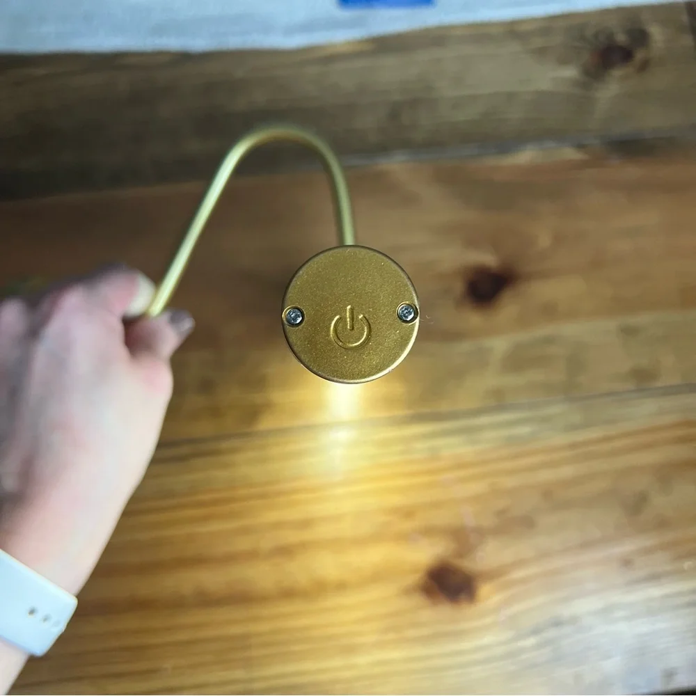 Gold Wall Display Light for Art or Photography